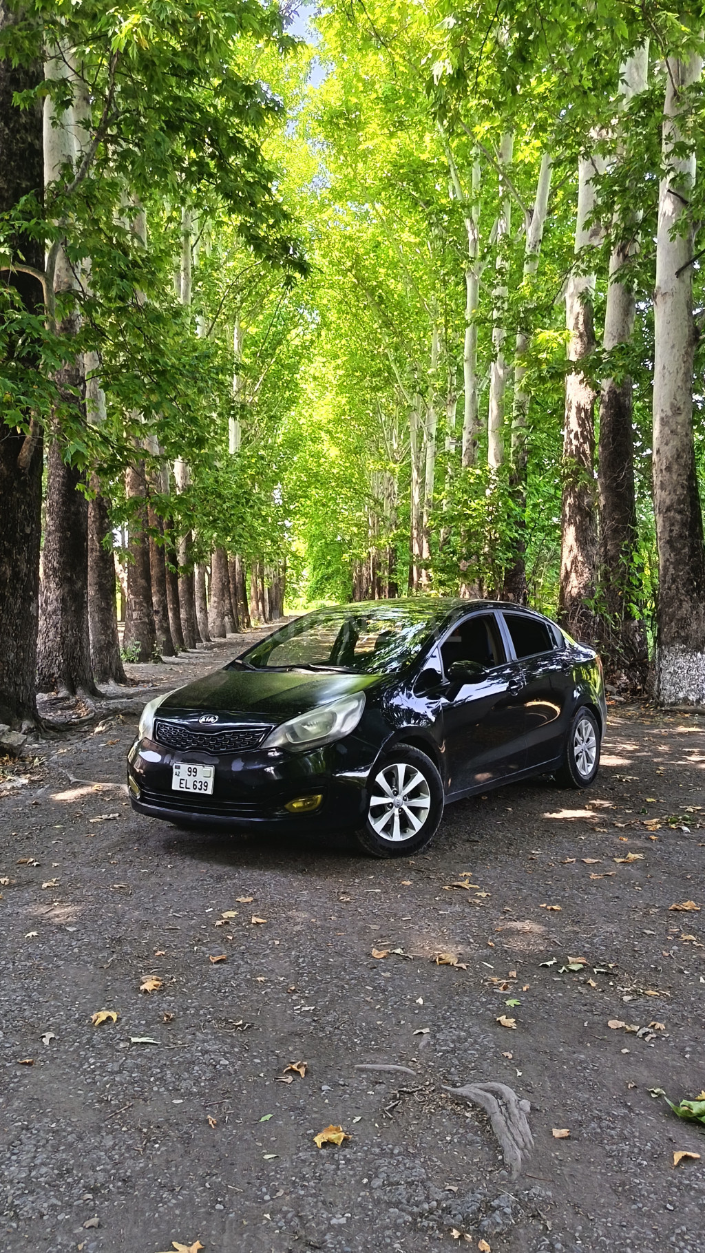 Kia Rio 2012