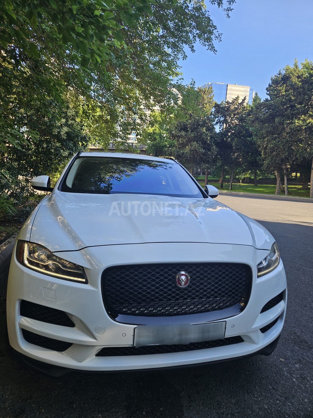 Jaguar F-Type 2017