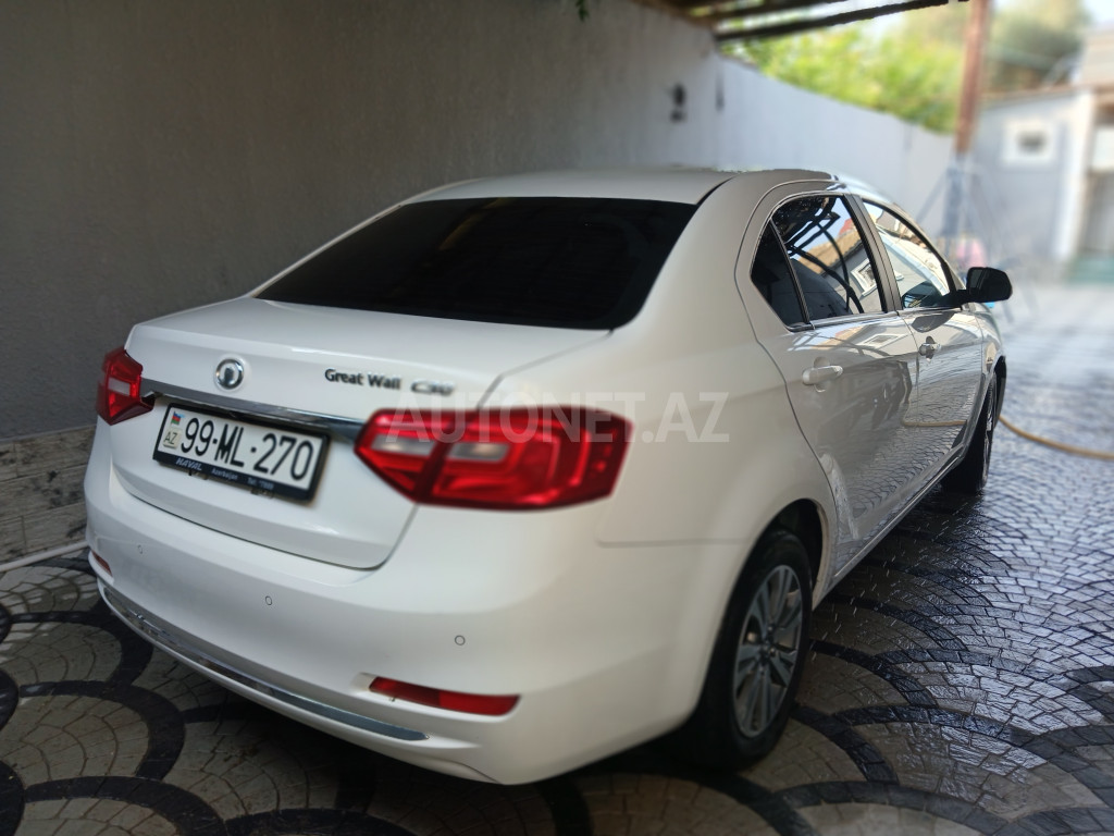 GWM (Great Wall Motor) Voleex C30 2018