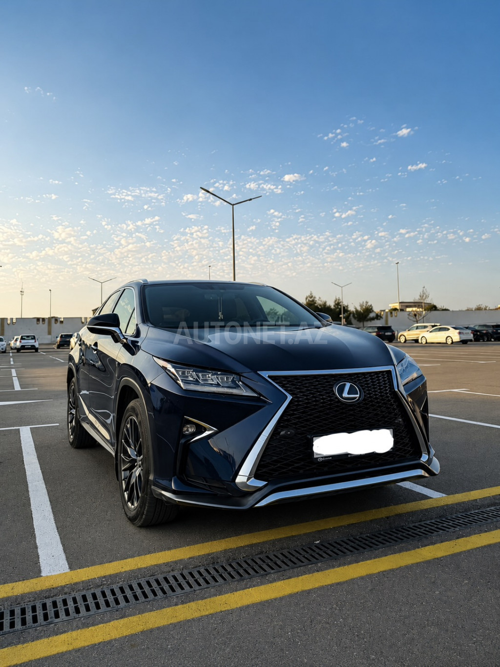 Lexus RX 300 2019